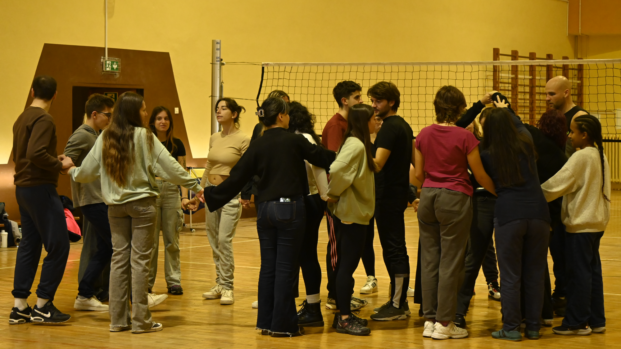 Project logo / graphic